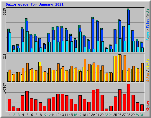 Daily usage for January 2021