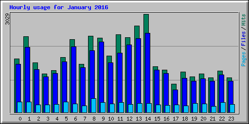Hourly usage for January 2016