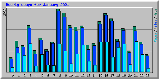 Hourly usage for January 2021