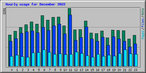 Hourly usage for December 2022