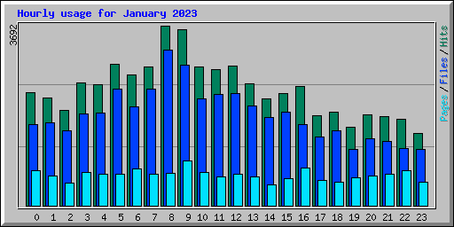 Hourly usage for January 2023