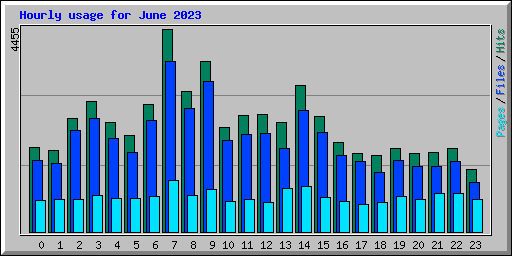 Hourly usage for June 2023