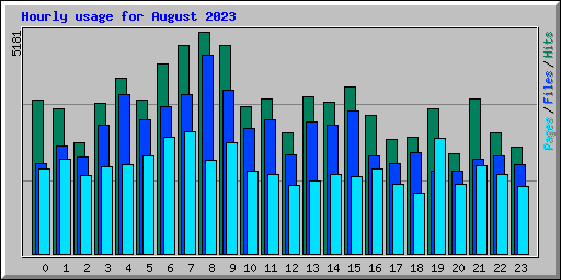 Hourly usage for August 2023