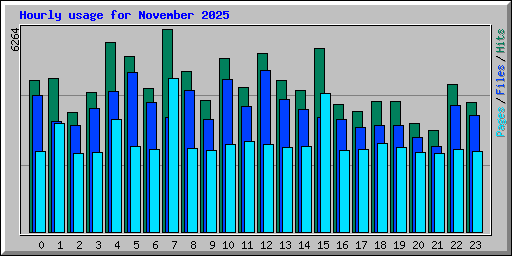 Hourly usage for November 2025