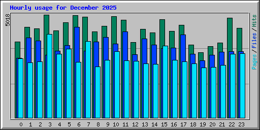 Hourly usage for December 2025