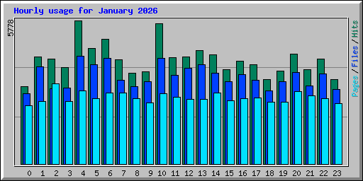 Hourly usage for January 2026
