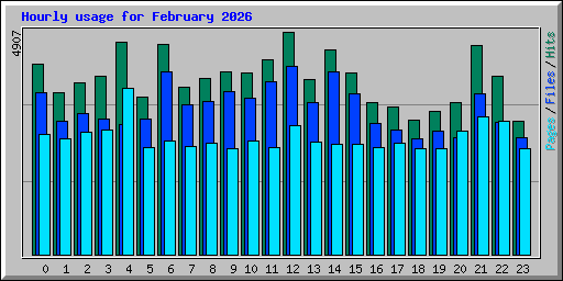 Hourly usage for February 2026